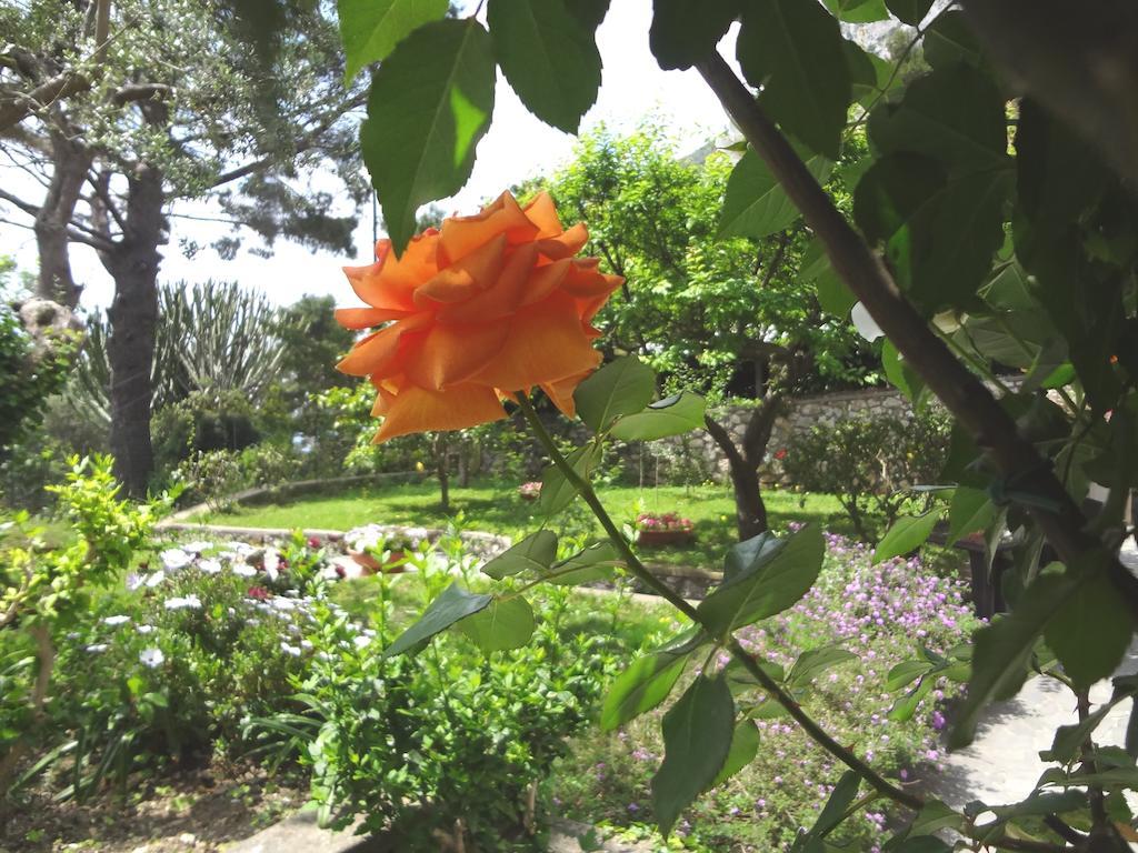 Bed & Breakfast Casa Augusto